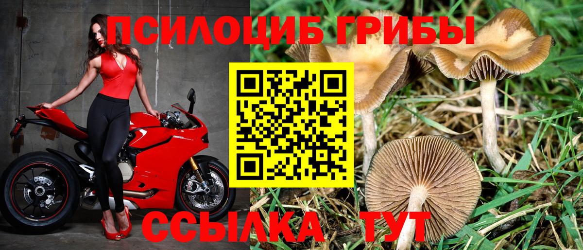 Альметьевск  Псилоцибиновые грибы MAGIC MUSHROOMS  Вход с VPN  купить наркотики цена  Галлюциногенные грибы мухоморы 